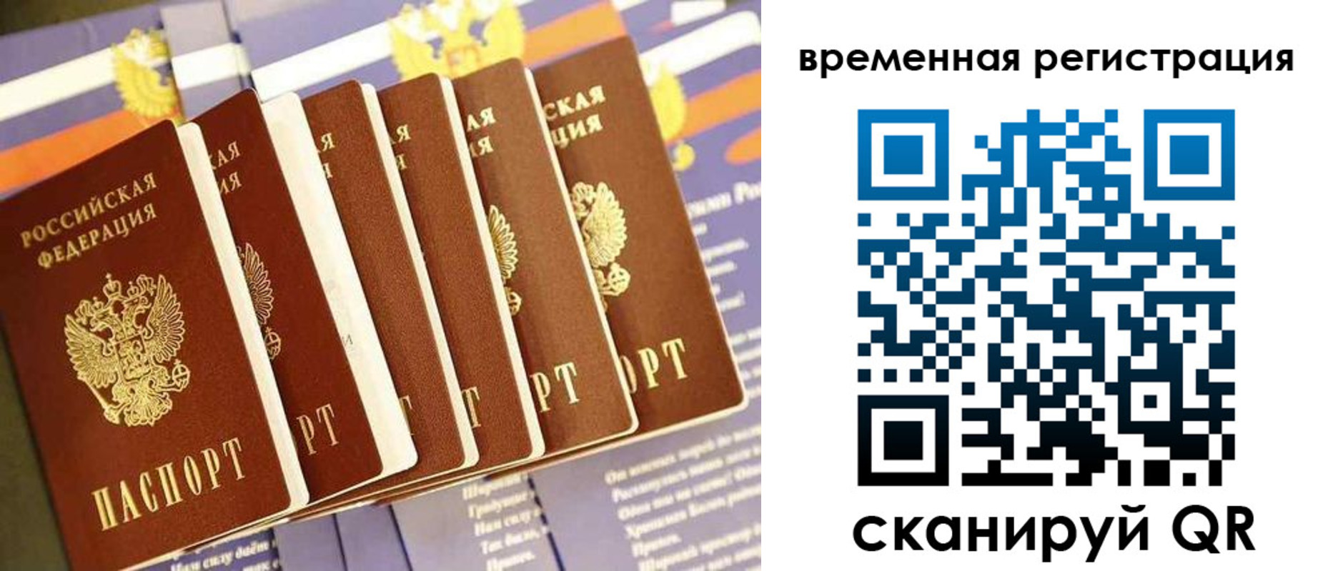 временная регистрация поиск в Электрогорске